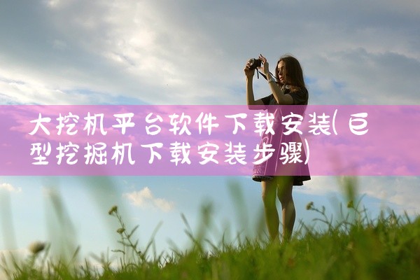 大挖机平台软件下载安装
