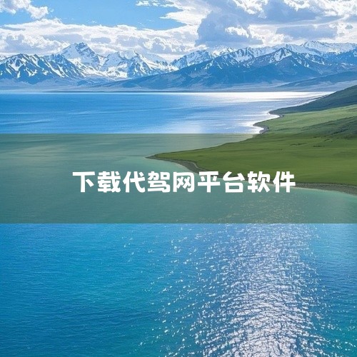 e代驾是一款应用软件类移动应用,为用户提供特定场景下的功能服务。软件功能设计贴合用户实际需求,操作方式简单直观,上手容易。界面布局清晰合理,各功能模块划分明确,使用体验良好。版本特点:安卓版、司机版。|