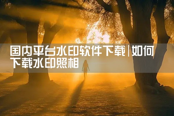 国内平台水印软件下载