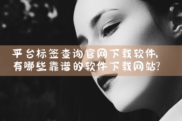 平台标签查询官网下载软件