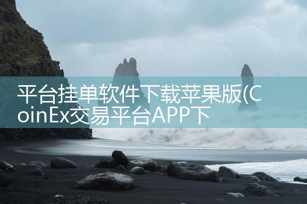 平台挂单软件下载苹果版