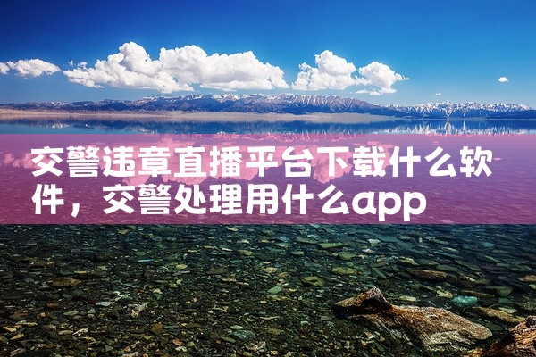 交警违章直播平台下载什么软件
