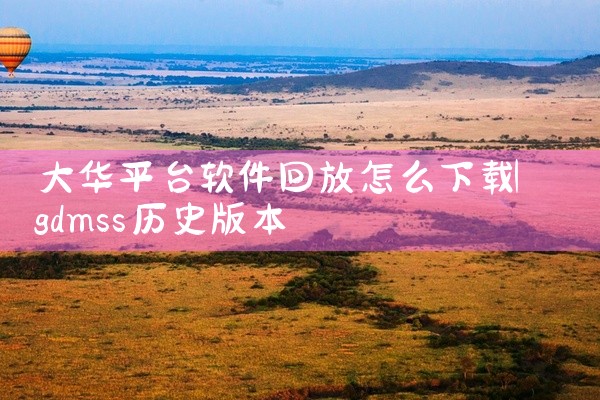 大华平台软件回放怎么下载