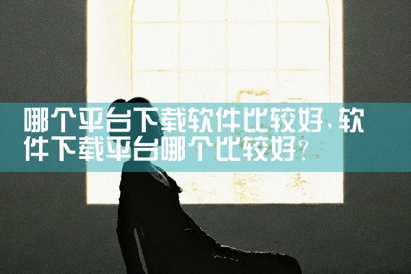 哪个平台下载软件比较好
