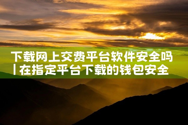 下载网上交费平台软件安全吗