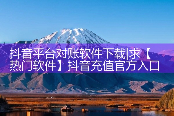 抖音平台对账软件下载