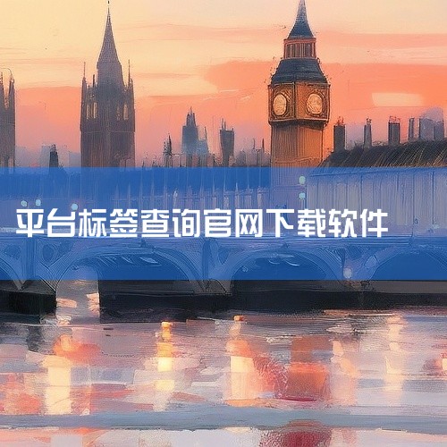 官网访问：PC端需开启全局模式科学上网访问，官网地址为http://www.tiktok.com。账号搜索：在搜索框输入http://tiktok.com/@账号可快速定位目标账号。标签内容搜索：输入|