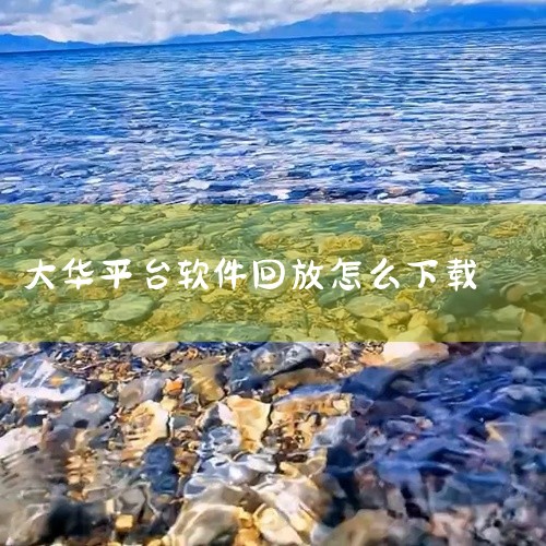 2、用网络下载：可以用交叉线直连或者局域网访问都可以，只要能够登录到设备上，在录像爱你个回放中就可以直接下载录像文件 问题二：请问大华硬盘录像机DH-DVR1204L的录像如何备份  硬盘录像机的备份|